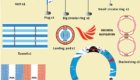 customized obstacle course Flying Loops Kit B Technical specifications
