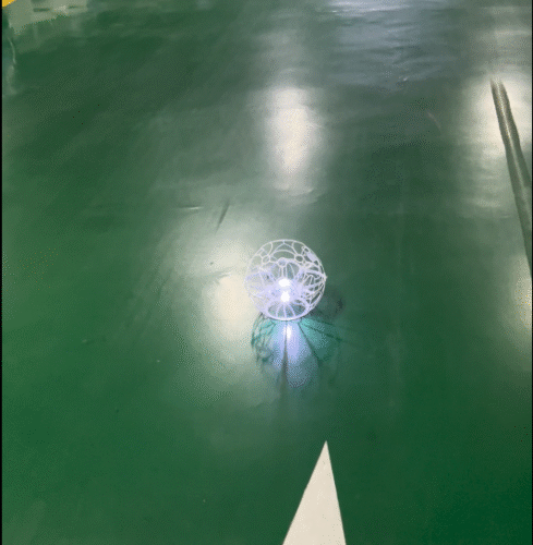 Fly in a straight line